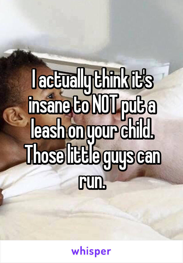 I actually think it's insane to NOT put a leash on your child. Those little guys can run.