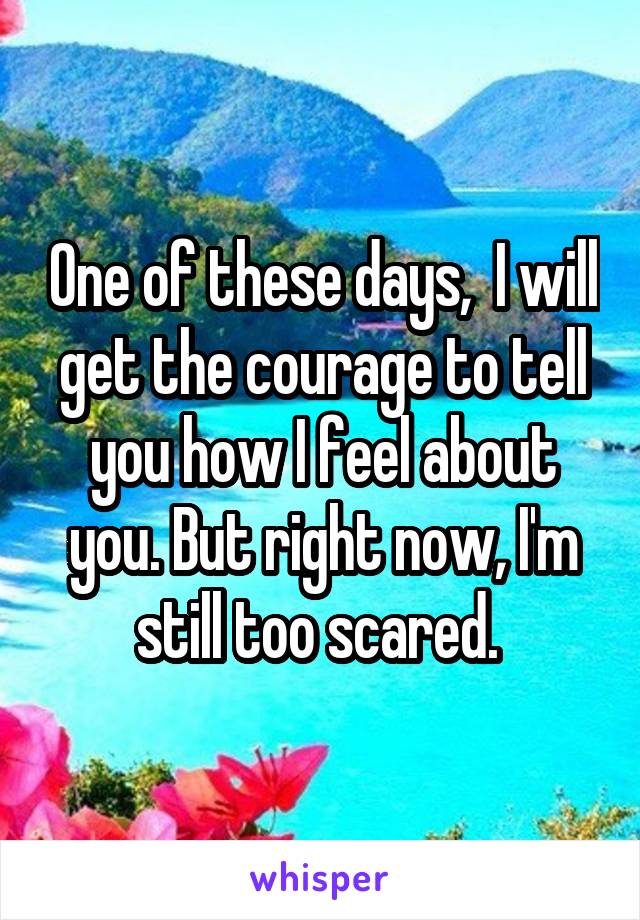 One of these days,  I will get the courage to tell you how I feel about you. But right now, I'm still too scared. 