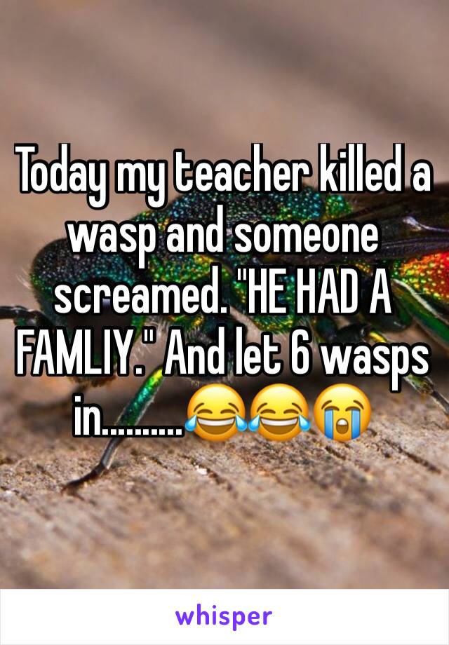 Today my teacher killed a wasp and someone screamed. "HE HAD A FAMLIY." And let 6 wasps in..........😂😂😭