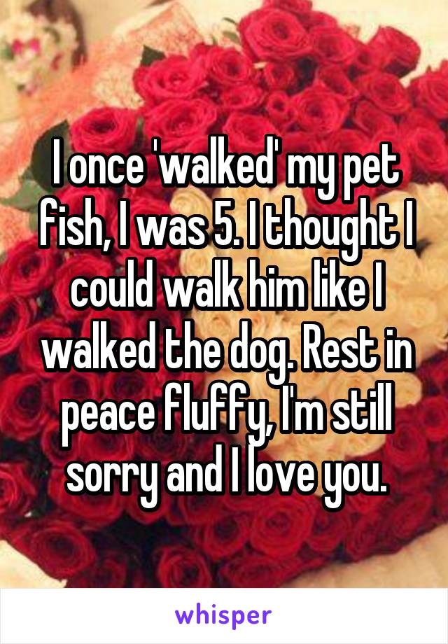 I once 'walked' my pet fish, I was 5. I thought I could walk him like I walked the dog. Rest in peace fluffy, I'm still sorry and I love you.
