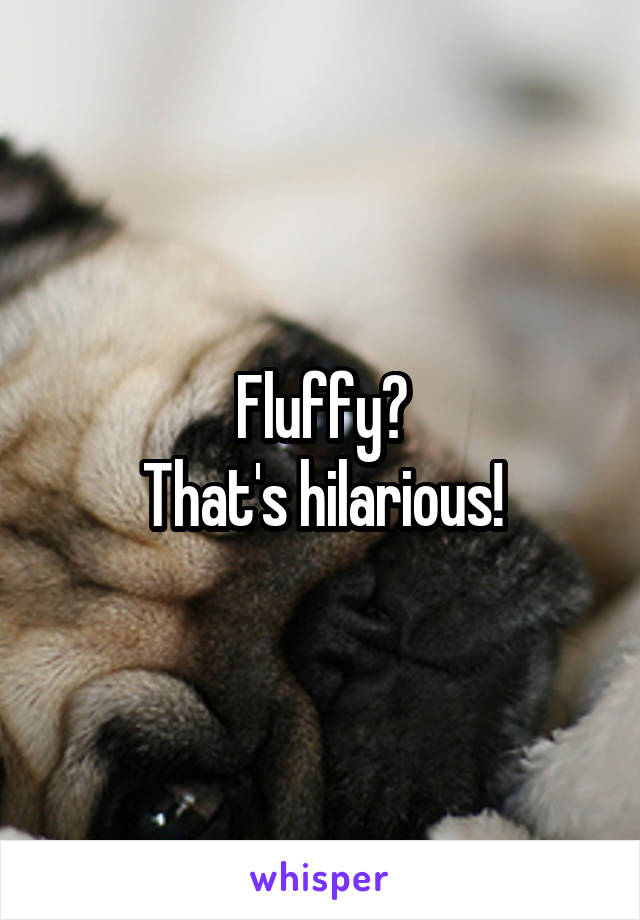 Fluffy?
That's hilarious!