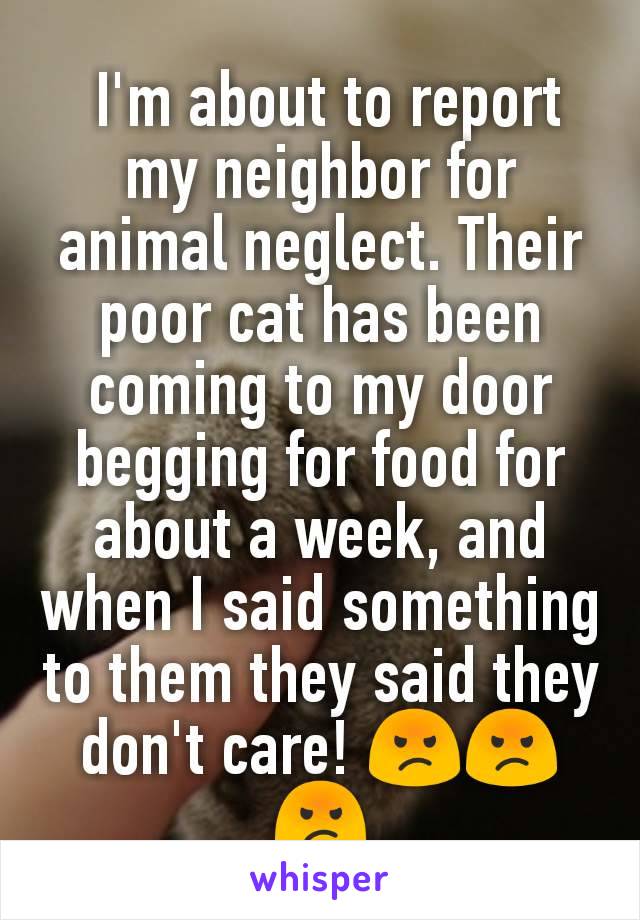  I'm about to report my neighbor for animal neglect. Their poor cat has been coming to my door begging for food for about a week, and when I said something to them they said they don't care! 😡😡😡