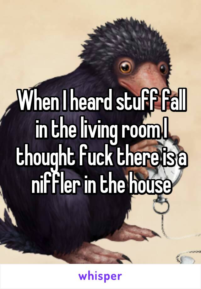 When I heard stuff fall in the living room I thought fuck there is a niffler in the house