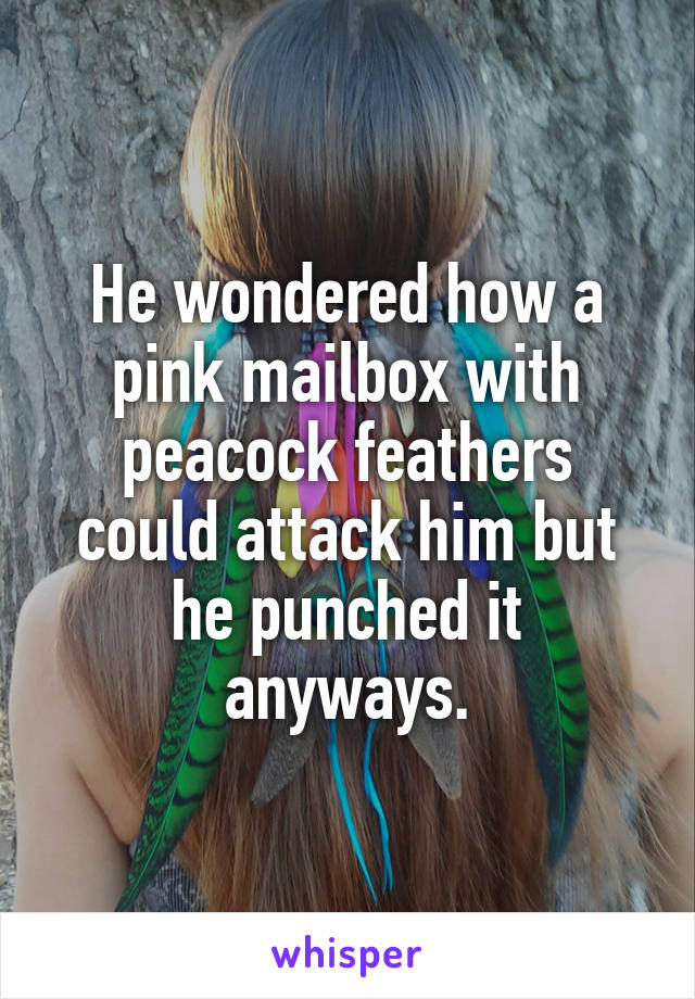 He wondered how a pink mailbox with peacock feathers could attack him but he punched it anyways.
