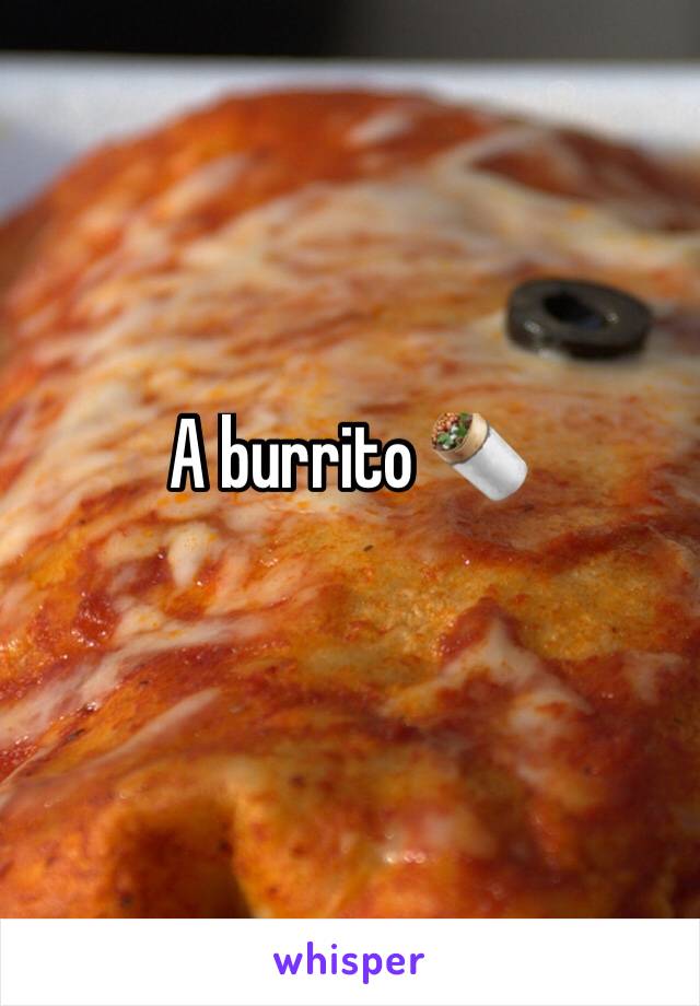 A burrito 🌯 
