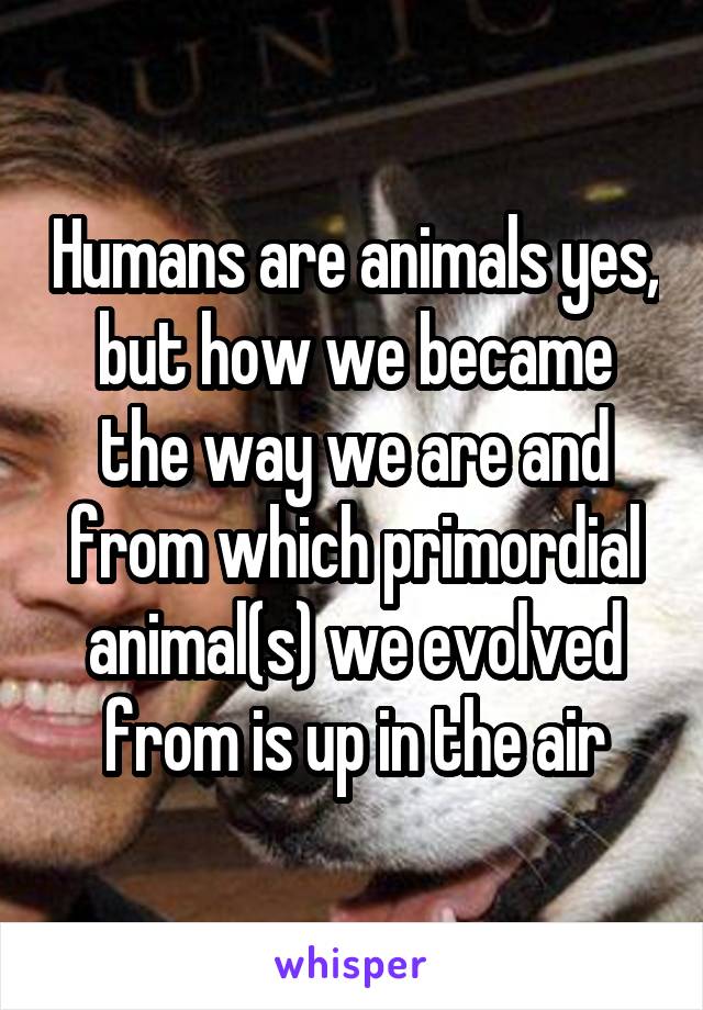 Humans are animals yes, but how we became the way we are and from which primordial animal(s) we evolved from is up in the air