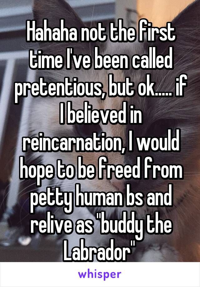 Hahaha not the first time I've been called pretentious, but ok..... if I believed in reincarnation, I would hope to be freed from petty human bs and relive as "buddy the Labrador" 