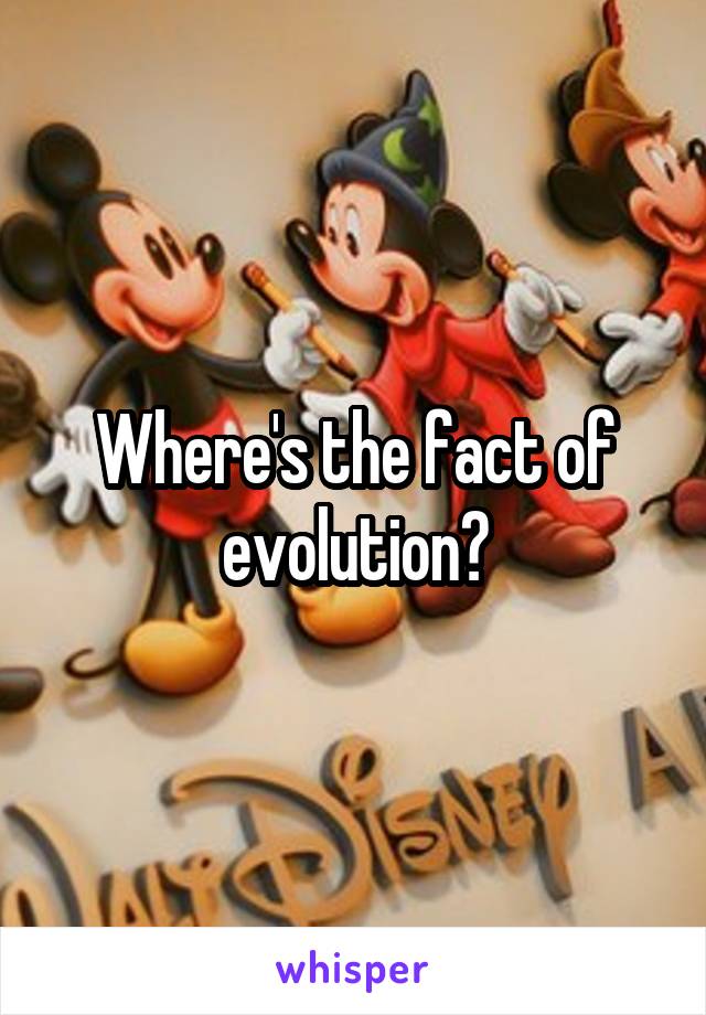 Where's the fact of evolution?