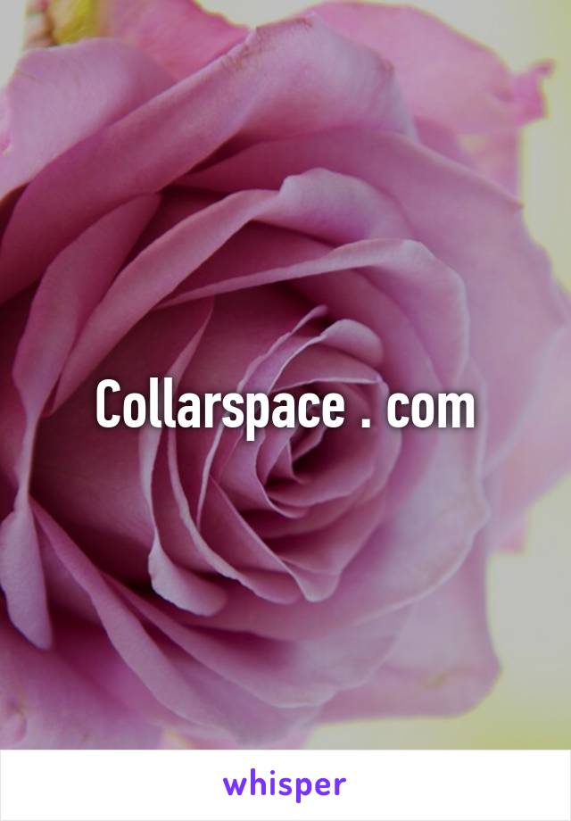 Collarspace . com