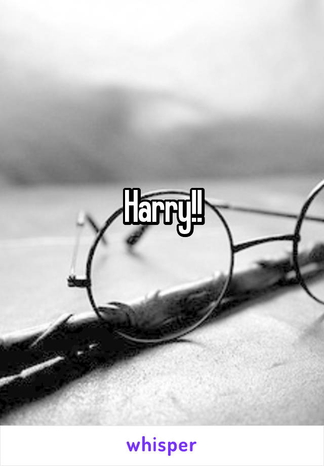 Harry!!
