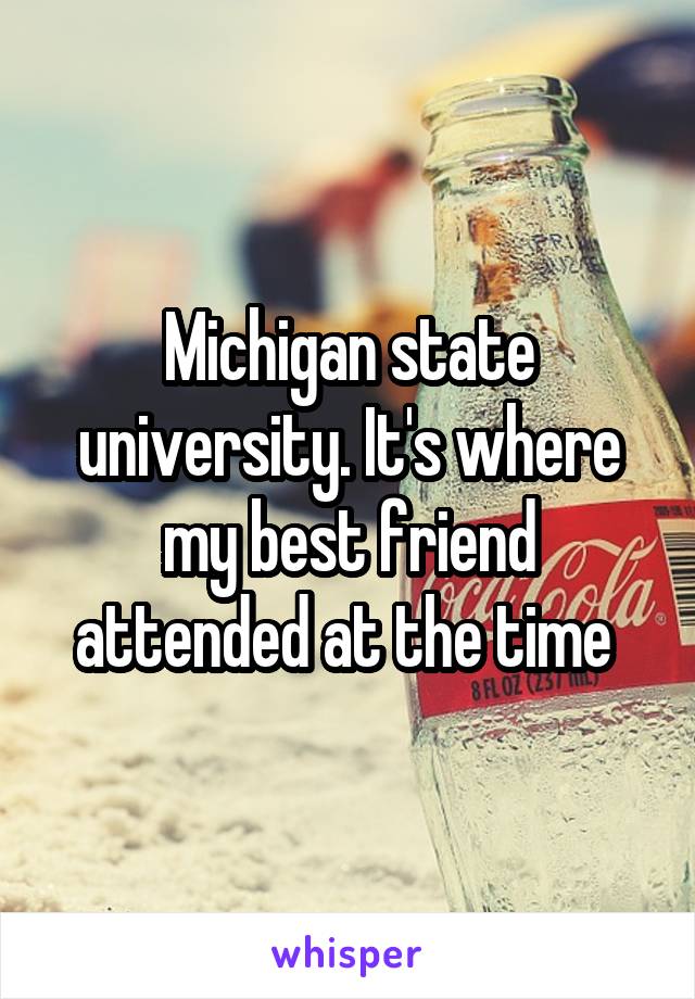 Michigan state university. It's where my best friend attended at the time 