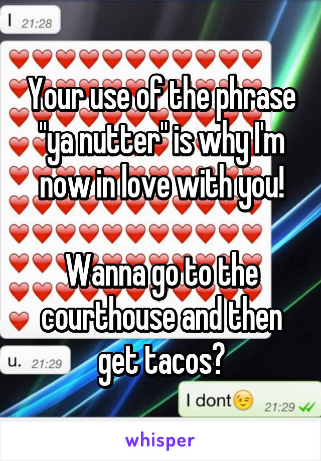 Your use of the phrase "ya nutter" is why I'm now in love with you!

Wanna go to the courthouse and then get tacos?