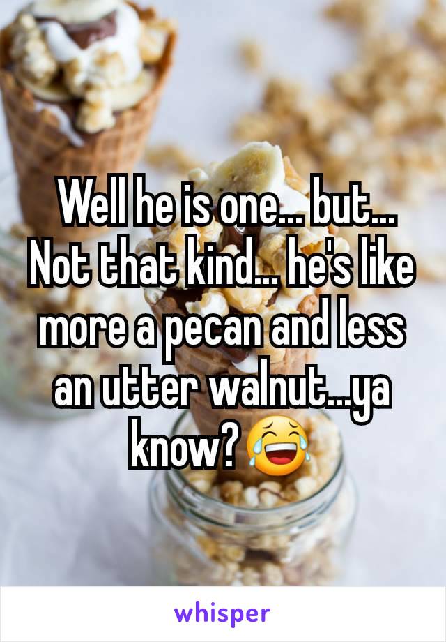  Well he is one... but... Not that kind... he's like more a pecan and less an utter walnut...ya know?😂