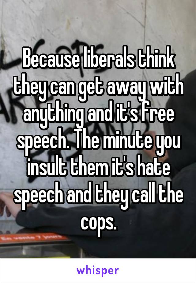 Because liberals think they can get away with anything and it's free speech. The minute you insult them it's hate speech and they call the cops.