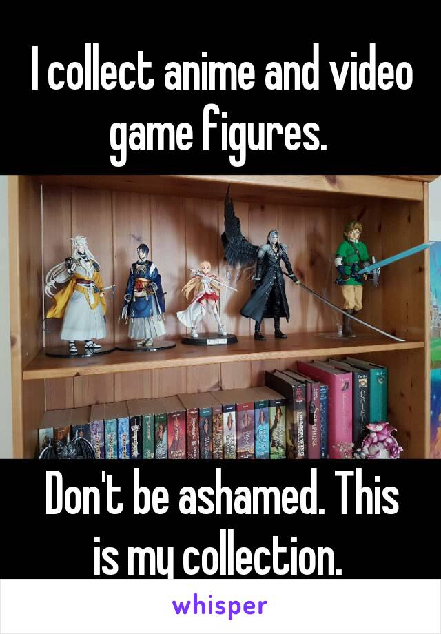 I collect anime and video game figures. 





Don't be ashamed. This is my collection. 