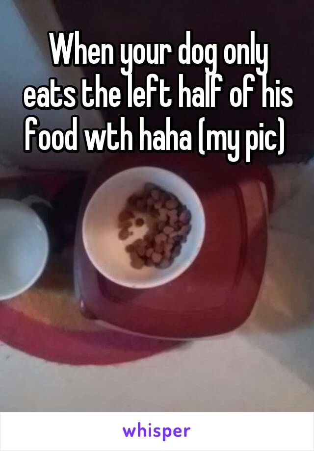When your dog only eats the left half of his food wth haha (my pic) 





