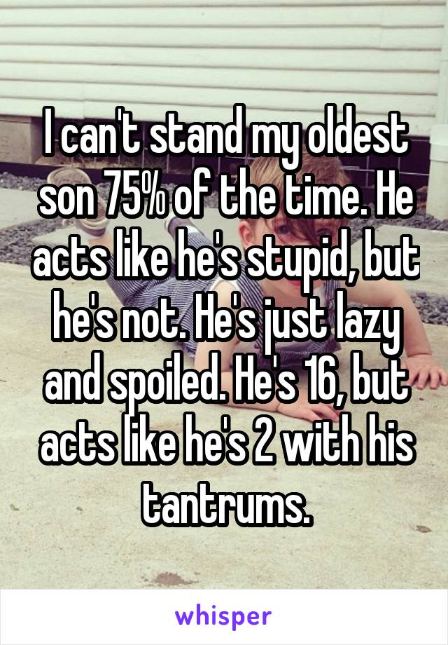 I can't stand my oldest son 75% of the time. He acts like he's stupid, but he's not. He's just lazy and spoiled. He's 16, but acts like he's 2 with his tantrums.