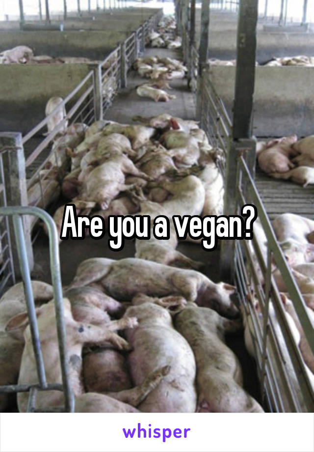 Are you a vegan?