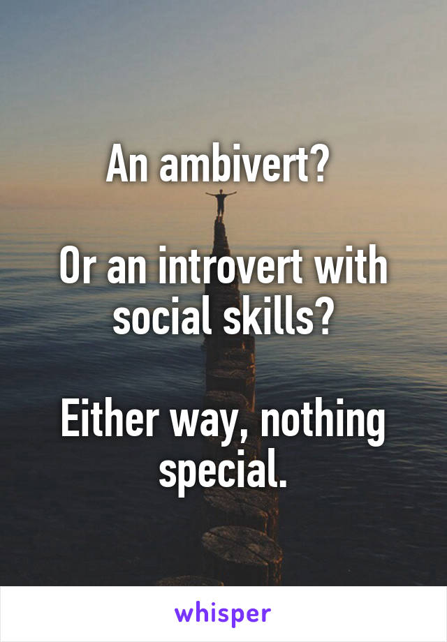 An ambivert? 

Or an introvert with social skills?

Either way, nothing special.