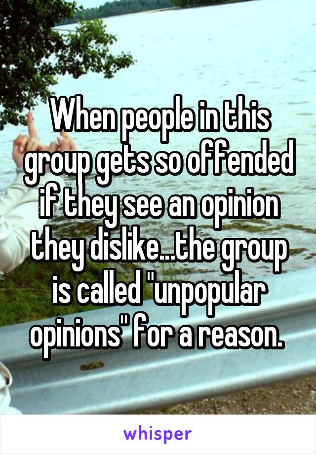 When people in this group gets so offended if they see an opinion they dislike...the group is called "unpopular opinions" for a reason. 