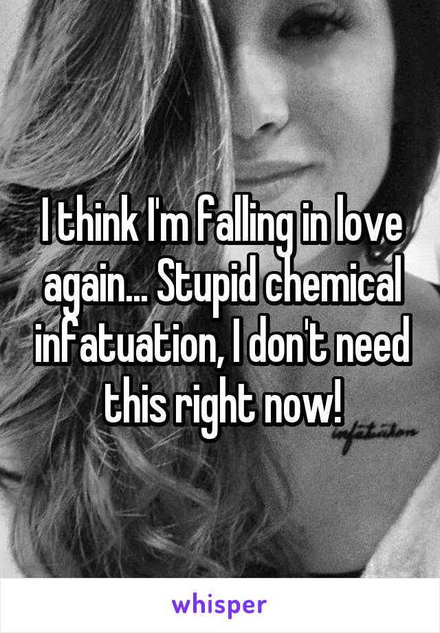 I think I'm falling in love again... Stupid chemical infatuation, I don't need this right now!