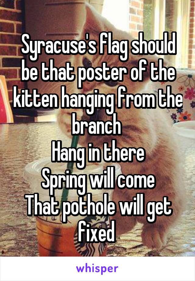 Syracuse's flag should be that poster of the kitten hanging from the branch 
Hang in there
Spring will come
That pothole will get fixed 