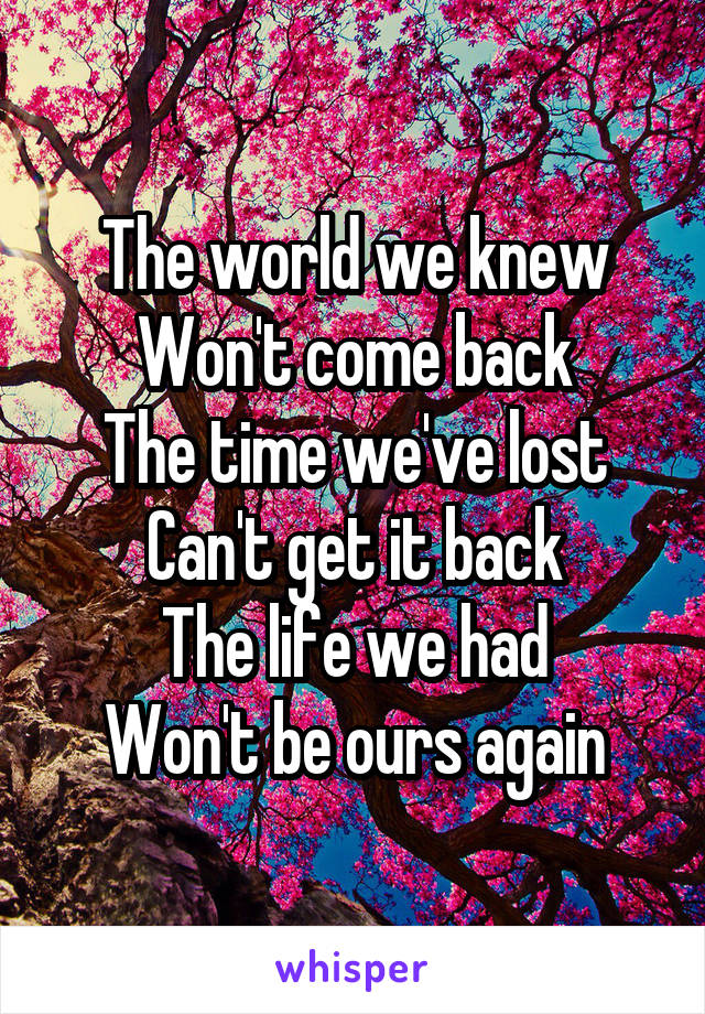 The world we knew
Won't come back
The time we've lost
Can't get it back
The life we had
Won't be ours again