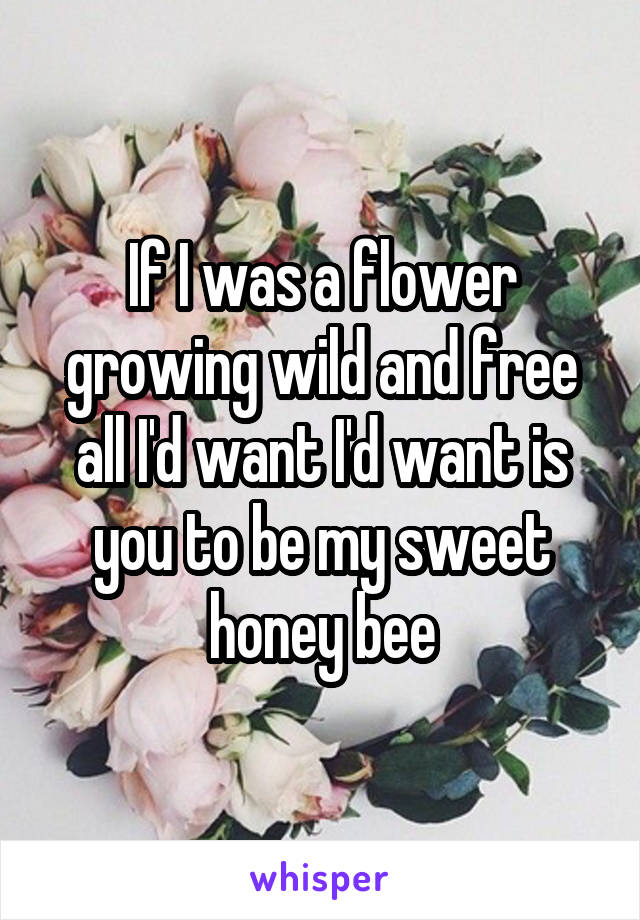 If I was a flower growing wild and free all I'd want I'd want is you to be my sweet honey bee