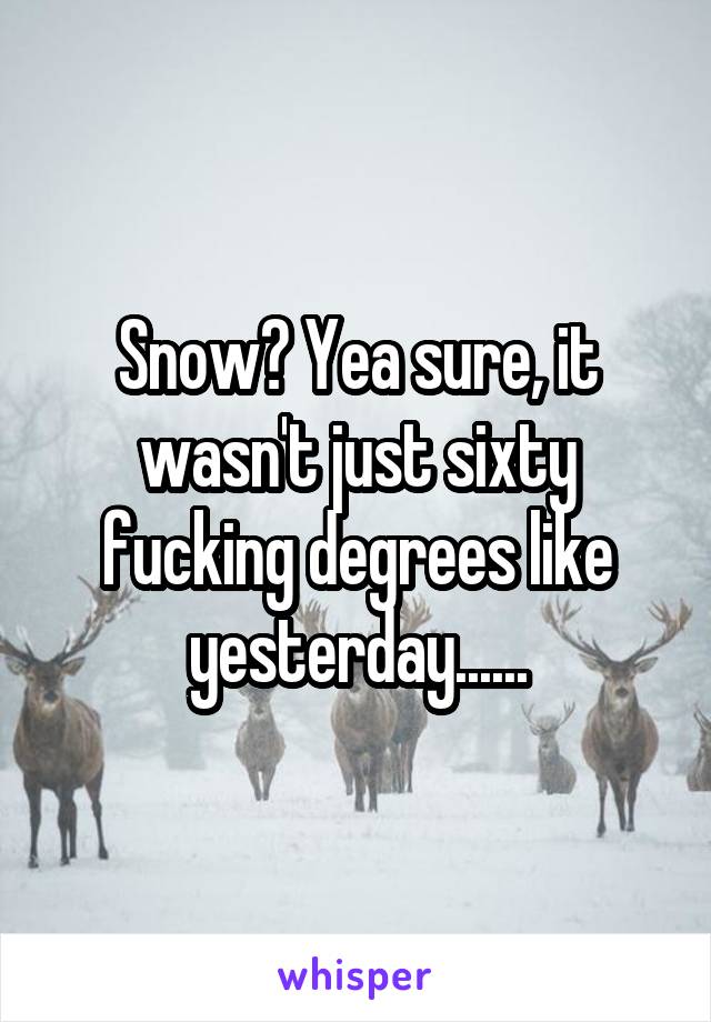 Snow? Yea sure, it wasn't just sixty fucking degrees like yesterday......