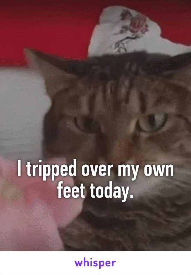 



I tripped over my own feet today.