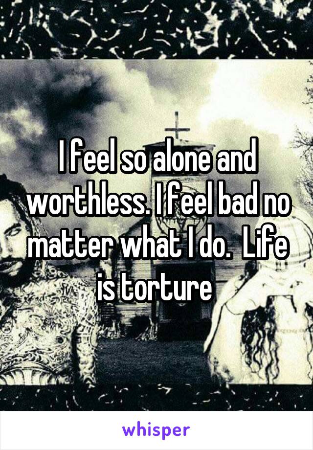 I feel so alone and worthless. I feel bad no matter what I do.  Life is torture 