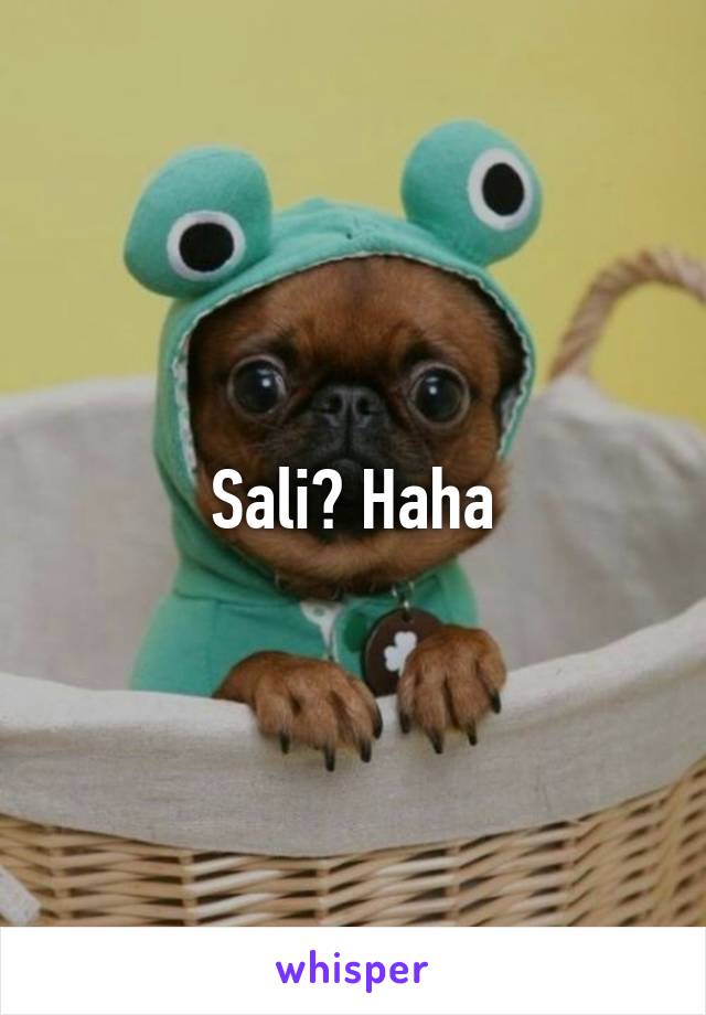 Sali? Haha