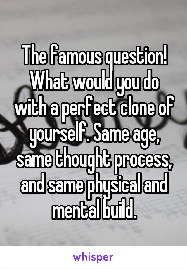 The famous question! What would you do with a perfect clone of yourself. Same age, same thought process, and same physical and mental build.