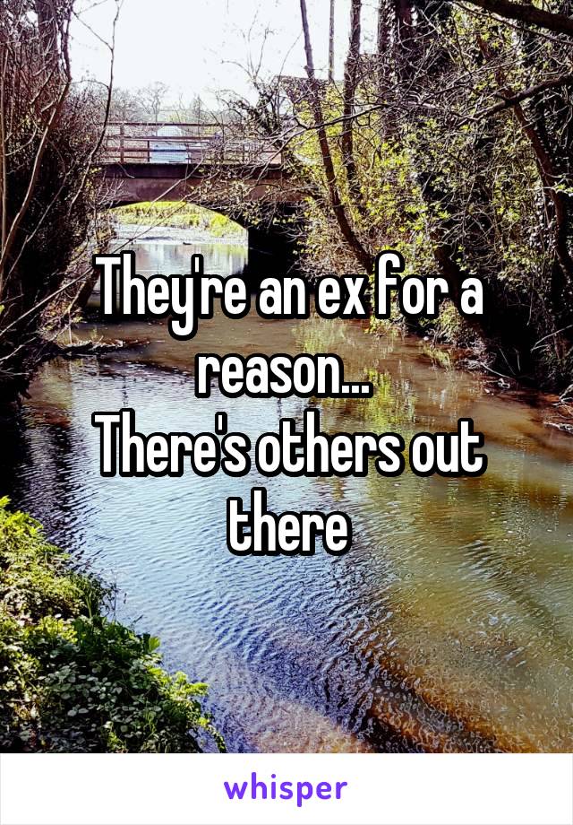 They're an ex for a reason... 
There's others out there