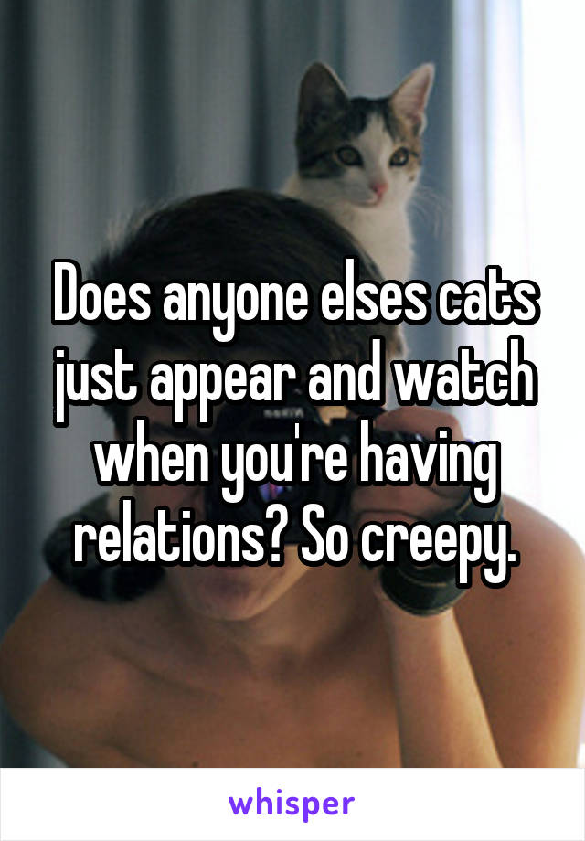 Does anyone elses cats just appear and watch when you're having relations? So creepy.