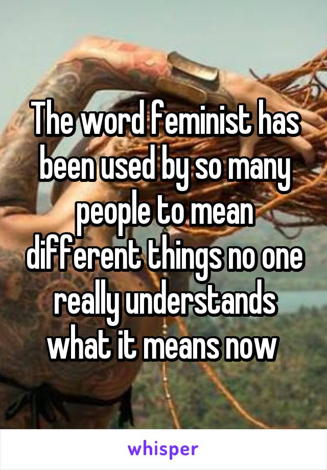 The word feminist has been used by so many people to mean different things no one really understands what it means now 