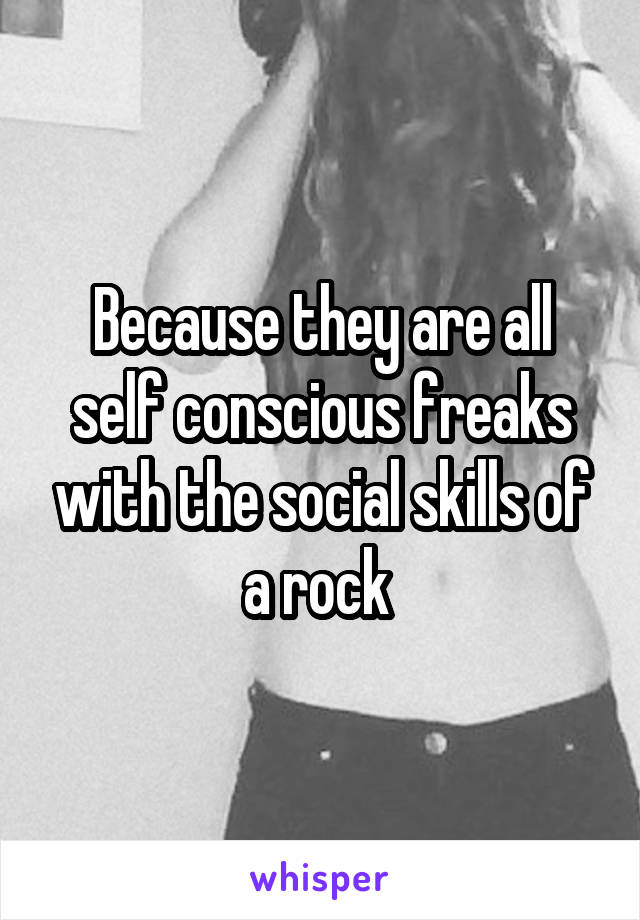 Because they are all self conscious freaks with the social skills of a rock 