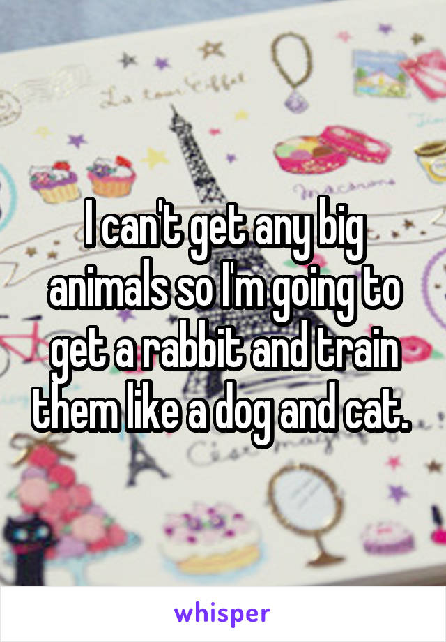 I can't get any big animals so I'm going to get a rabbit and train them like a dog and cat. 