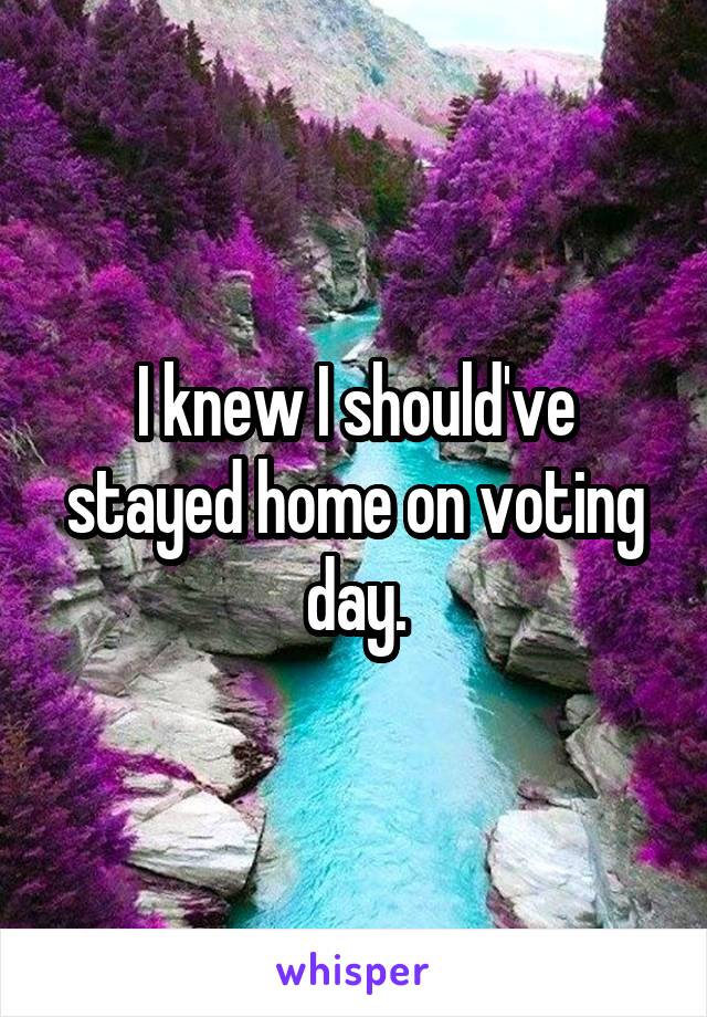 I knew I should've stayed home on voting day.