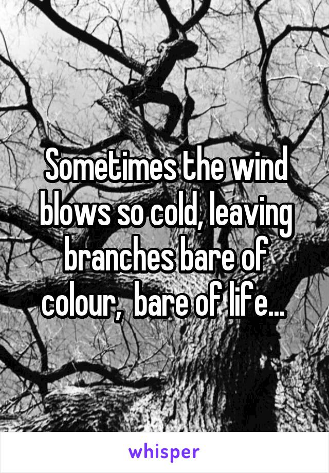 Sometimes the wind blows so cold, leaving branches bare of colour,  bare of life... 