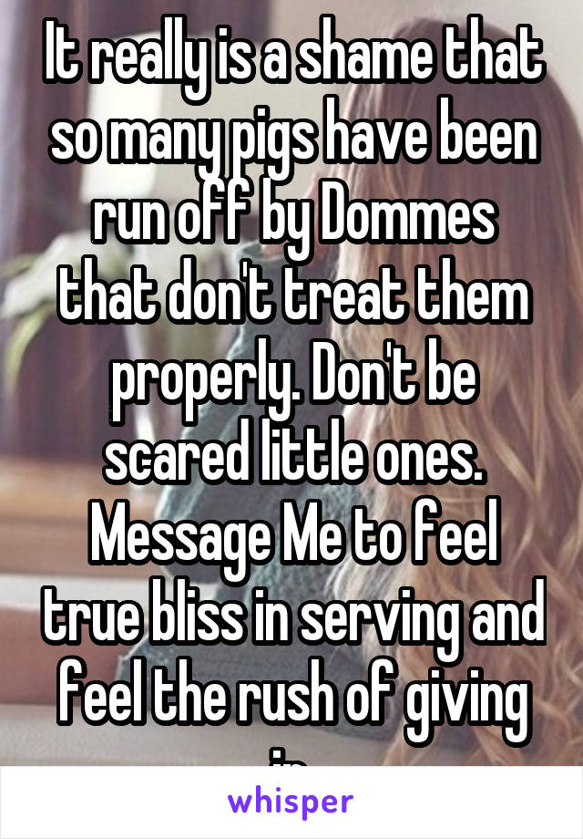 It really is a shame that so many pigs have been run off by Dommes that don't treat them properly. Don't be scared little ones. Message Me to feel true bliss in serving and feel the rush of giving in.