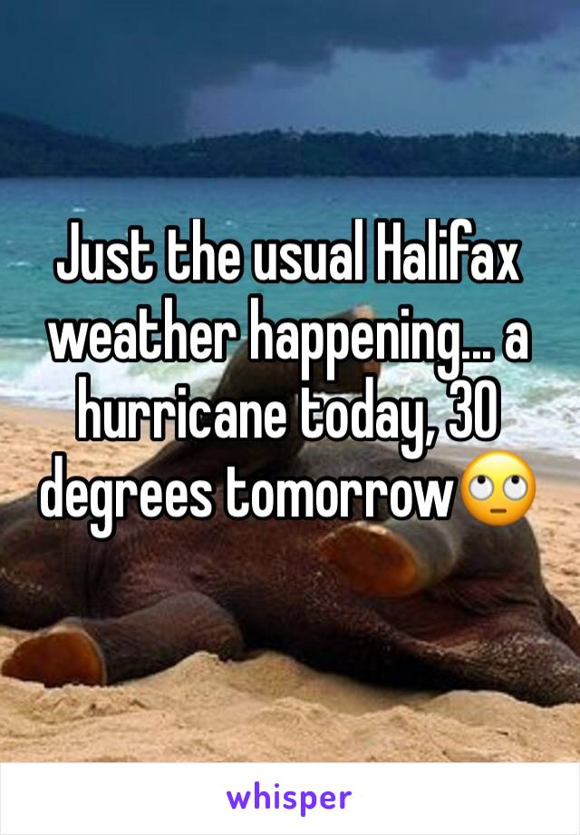 Just the usual Halifax weather happening... a hurricane today, 30 degrees tomorrow🙄