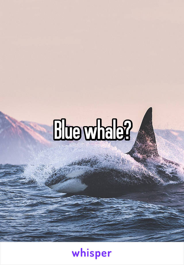 Blue whale?