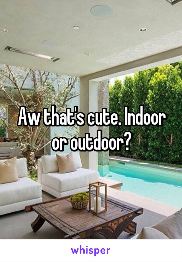 Aw that's cute. Indoor or outdoor?