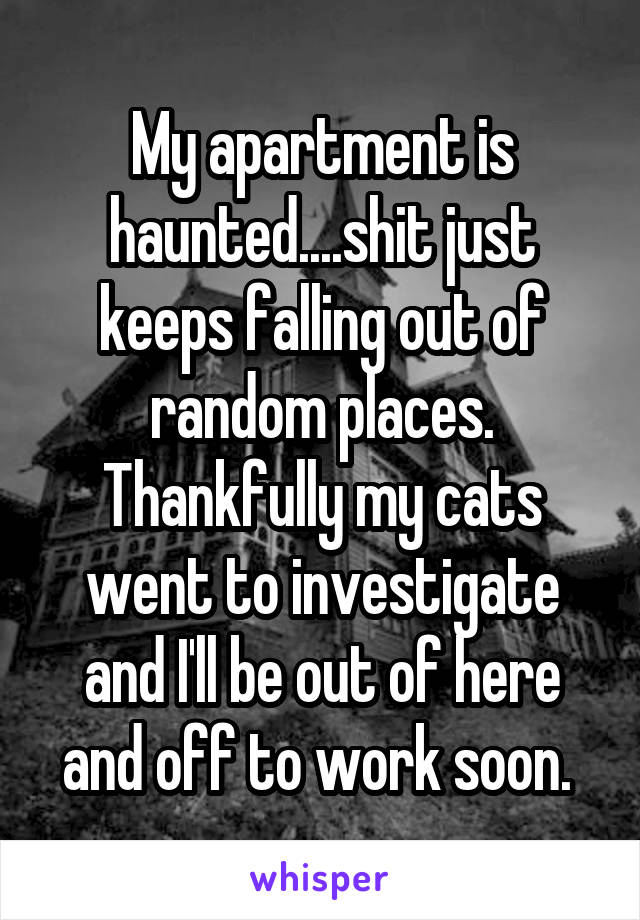 My apartment is haunted....shit just keeps falling out of random places. Thankfully my cats went to investigate and I'll be out of here and off to work soon. 