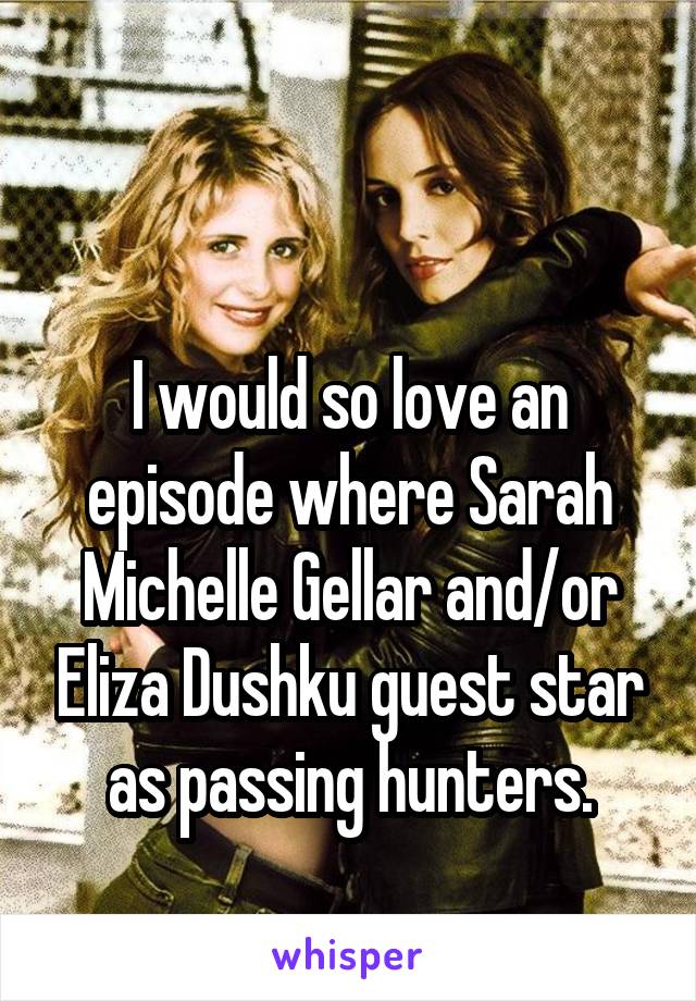 

I would so love an episode where Sarah Michelle Gellar and/or Eliza Dushku guest star as passing hunters.