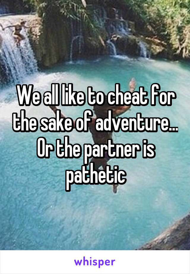 We all like to cheat for the sake of adventure... Or the partner is pathetic