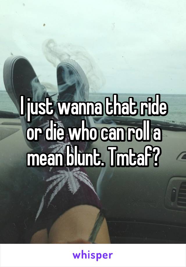 I just wanna that ride or die who can roll a mean blunt. Tmtaf?