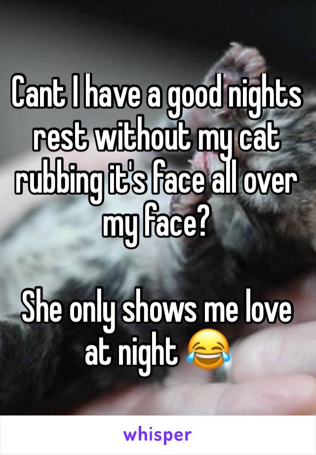 Cant I have a good nights rest without my cat rubbing it's face all over my face? 

She only shows me love at night 😂