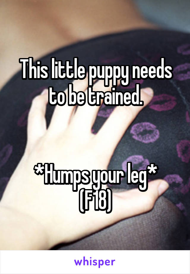 This little puppy needs to be trained.


*Humps your leg*
(F18)